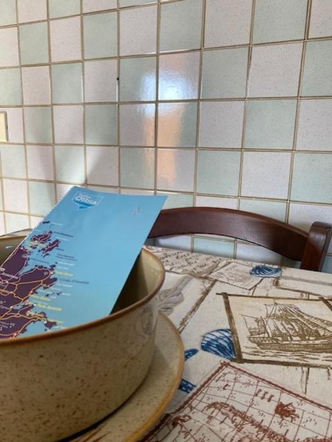올비아 Fabio'S House 아파트 외부 사진